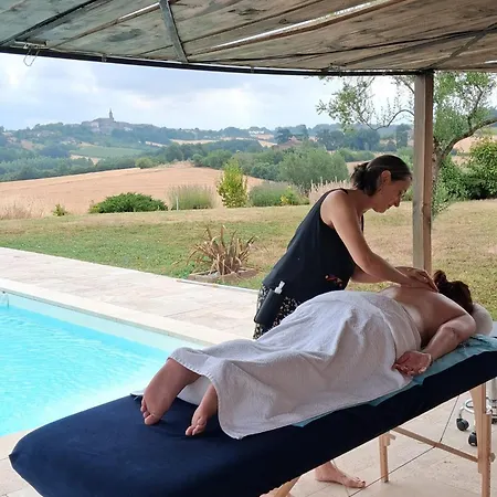 Chez Magali Nature Piscine Privee En Journee Et Massage Bien-etre Sur Reservation Holiday home Salvagnac